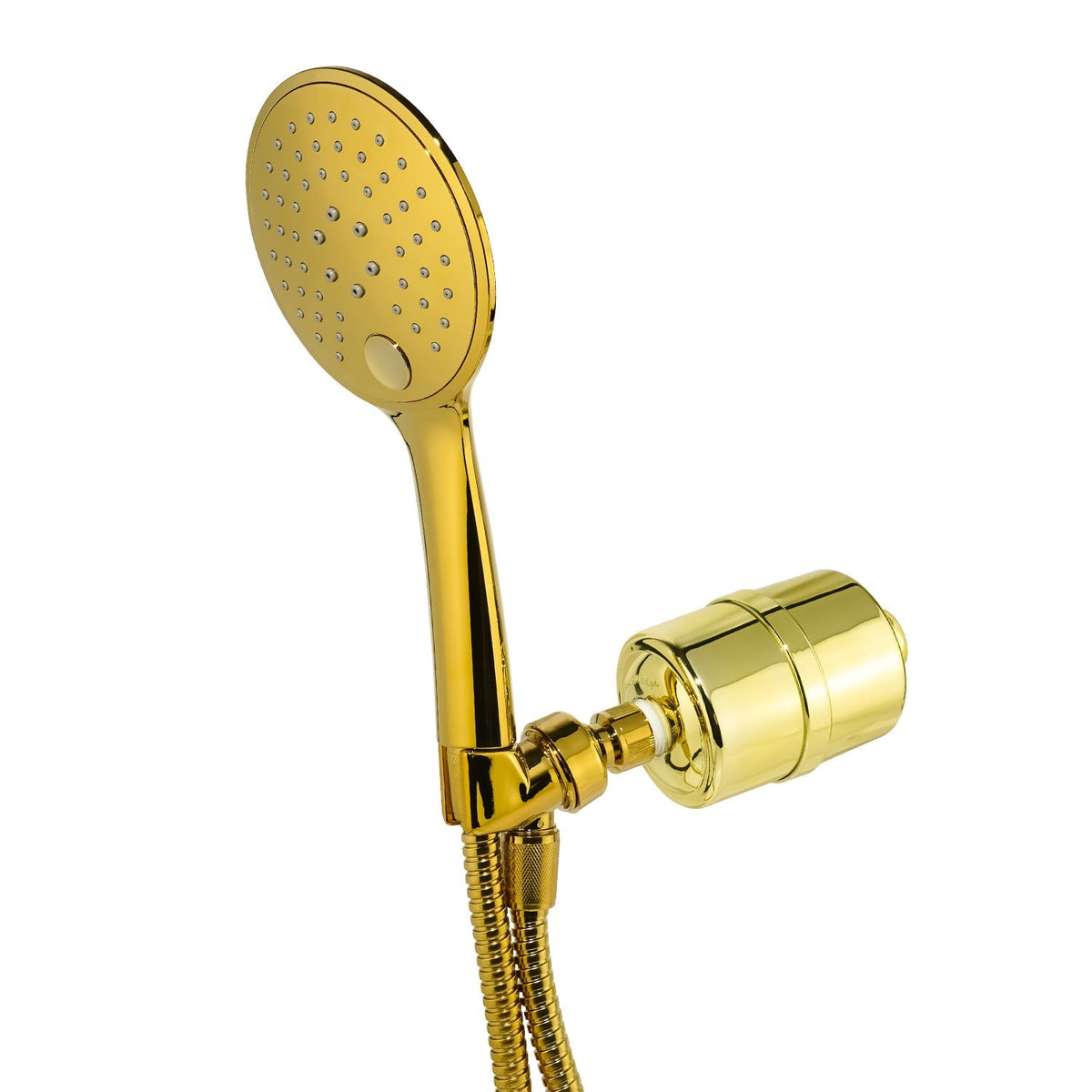 Handheld Shower Filter