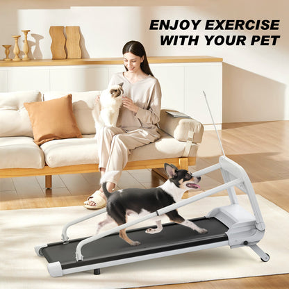 Quiet Smart Pet Treadmill with Adjustable Speed – For Small/Medium Dogs