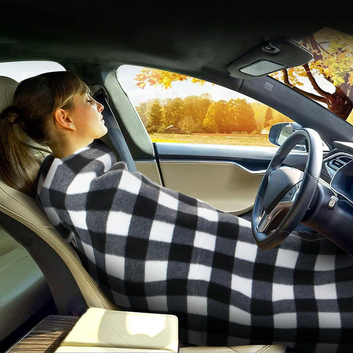 12V Electric Car Heated Blanket