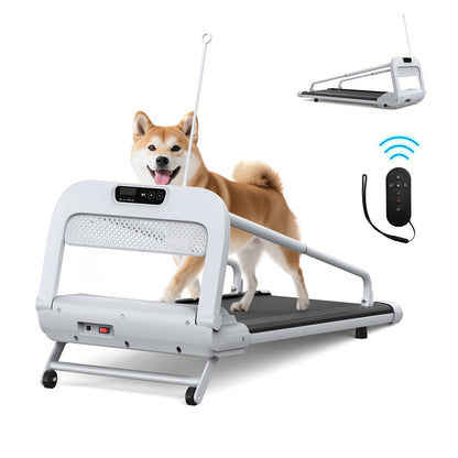 Quiet Smart Pet Treadmill with Adjustable Speed – For Small/Medium Dogs