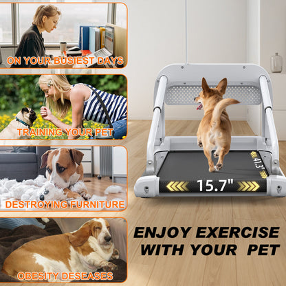 Quiet Smart Pet Treadmill with Adjustable Speed – For Small/Medium Dogs