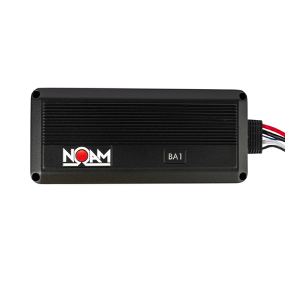 BA1 Mono Amplifier