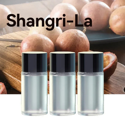 3Pcs Essential Oil Refill Set | Diffuser Oil Kit for Car and Home