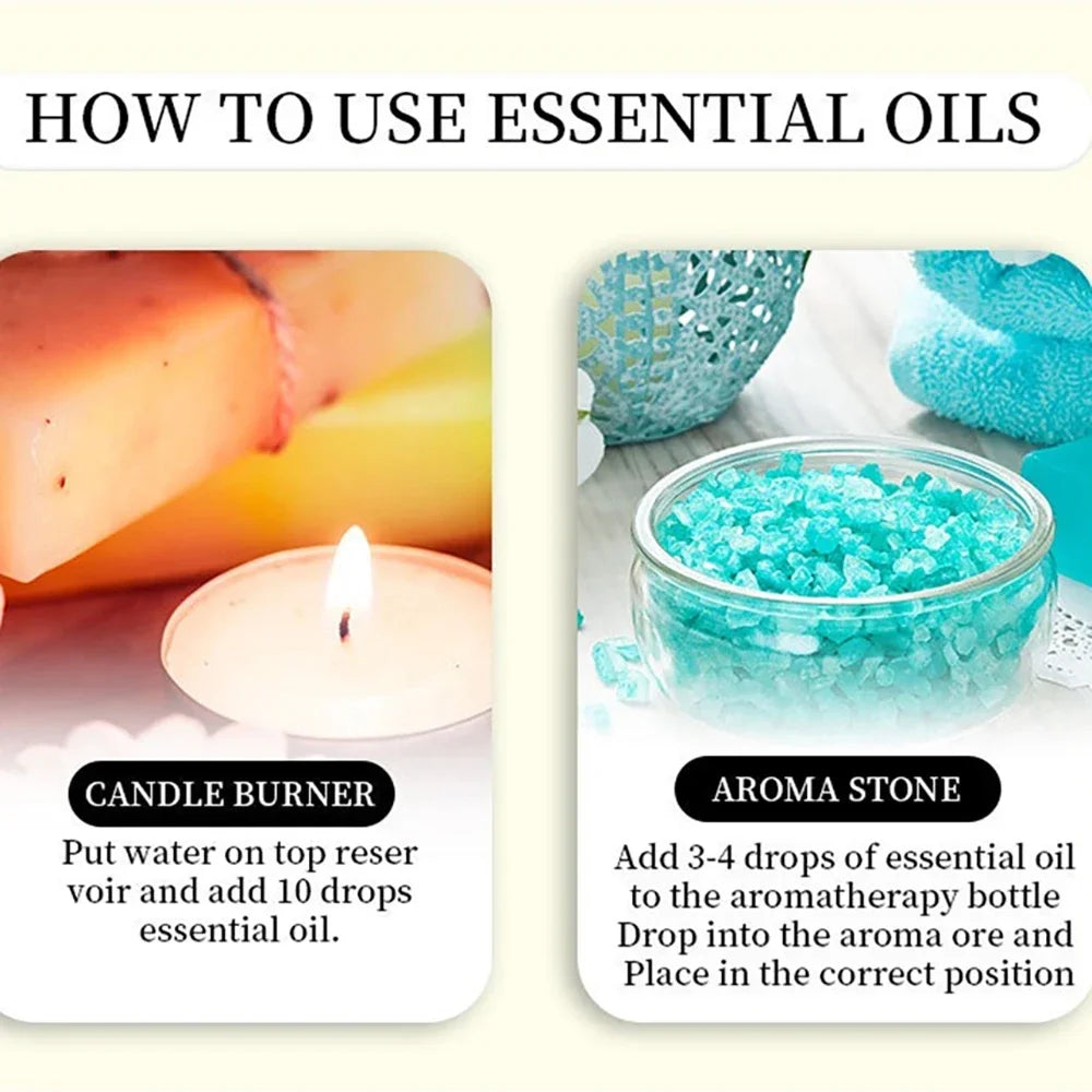13 Flavors Essential Oils Set for Diffuser | 10ml Aroma Kit for Home