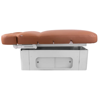 Cloud Electric Spa Treatment Table