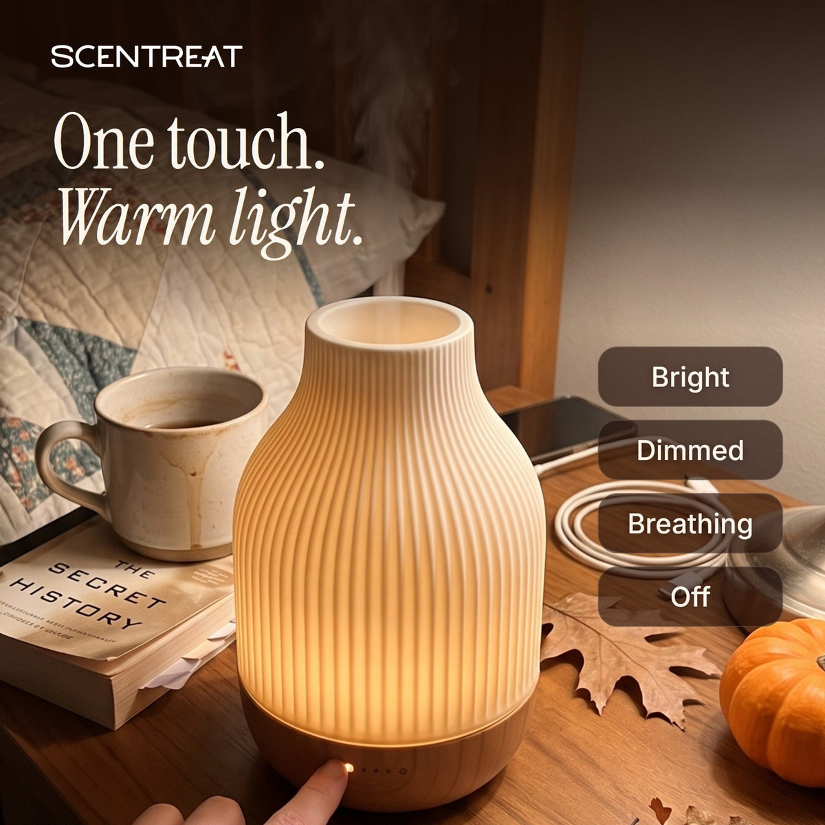 Ceramic Diffuser