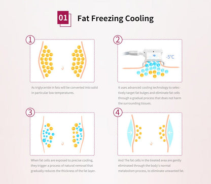 Shape Tactics Dual-Handle Cooling Cavitation & RF Contouring System